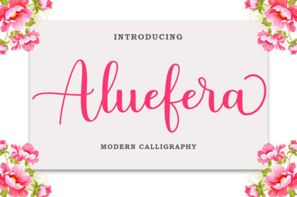 Aluefera Script Review