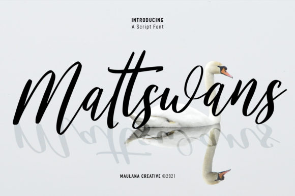 Beautiful Script Font for Marketing