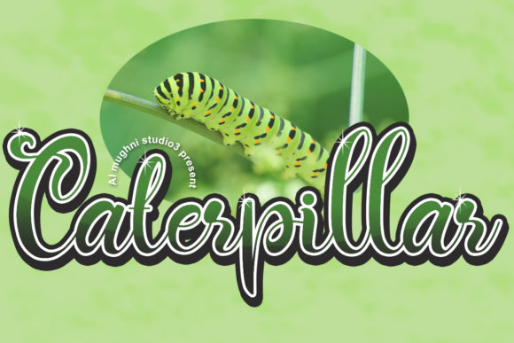 Caterpillar Script: A Font That Adds Charm