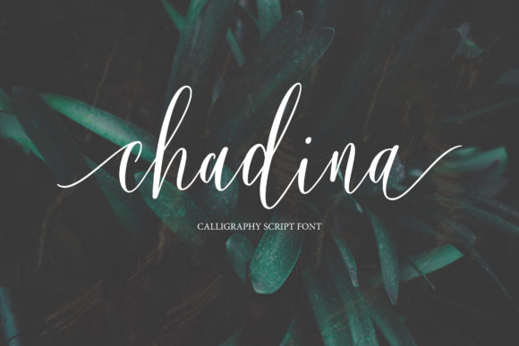 Chadina Script: A Font for Impactful Campaigns