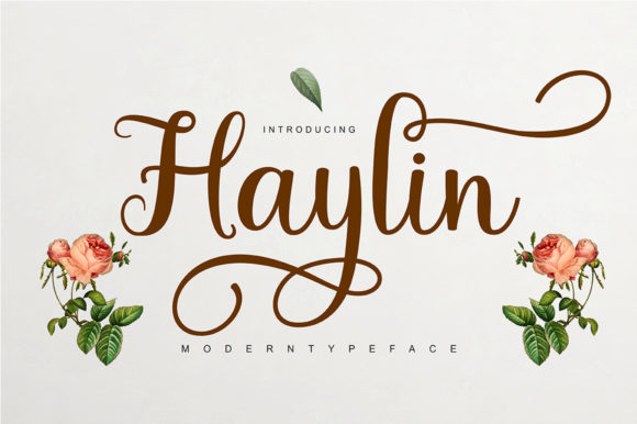 Haylin Script: A Beautiful Font for Business