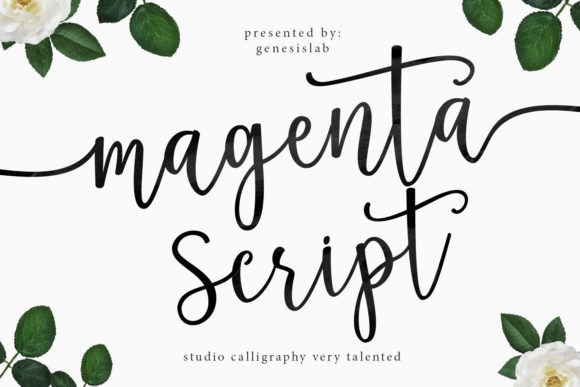 Magenta Script Font for Web Design