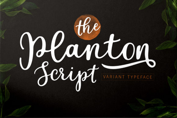 Planton Script: A Creative Typeface for Branding