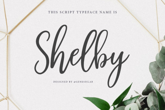 Shelby Script: A Font for Creative Web Design